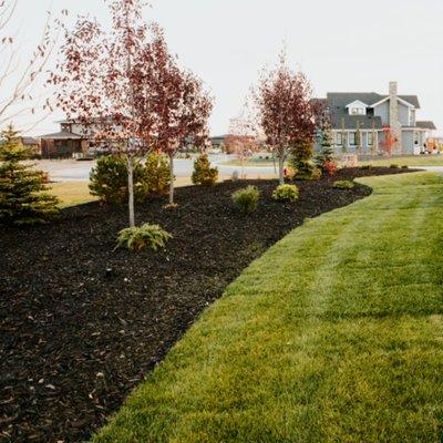 Dream Green Landscaping