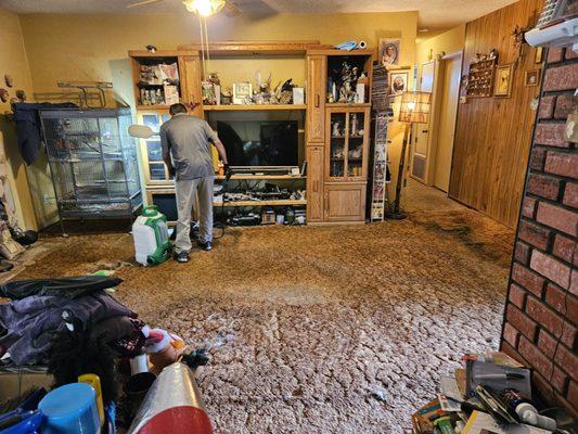 Fast Drying Carpet Cleaning