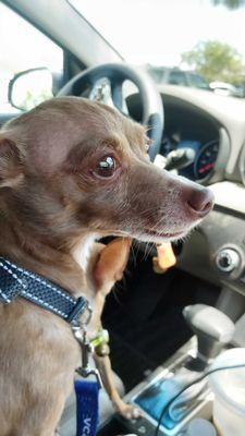 He loves me more than anything now that Dr. Liu has fixed my teeth!!!