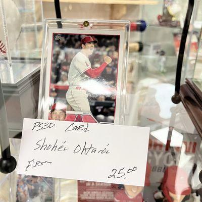 Black Bear Antiques and Interiors