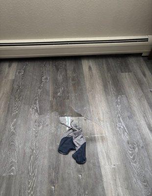 Coachlight Plaza Apartments