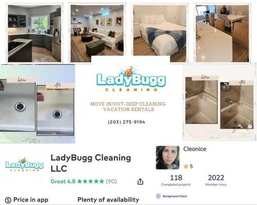 Ladybugg Cleaning