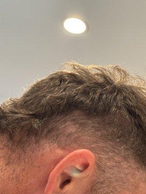 Svelte Barbershop & Essentials