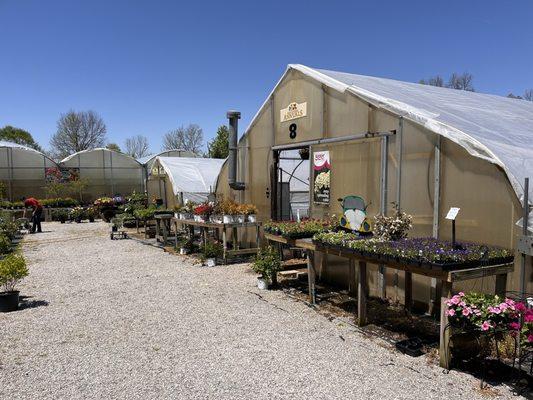 Country Colors Greenhouse
