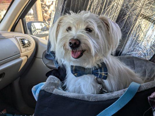 ELC Veterinary Clinic