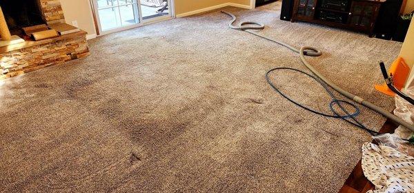 Echo Carpet Services