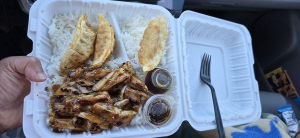 Plain chicken teriyaki all rice with 4  piece gyoza in the menu