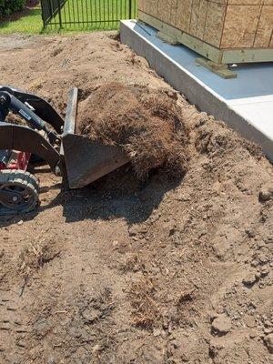 Above and Beyond Lawn Service