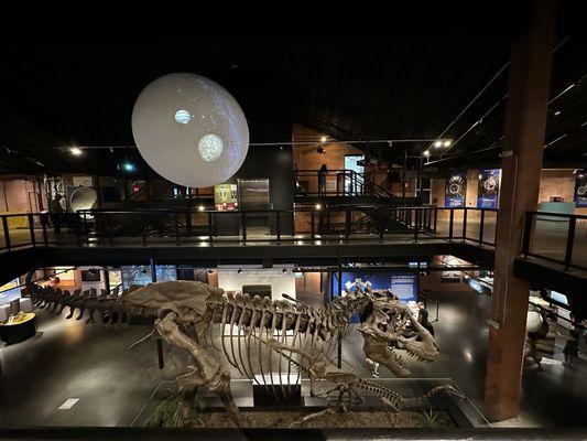 Houston Museum of Natural Science - Sugar Land