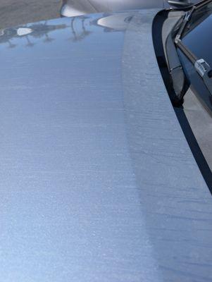 Unocal Prowash Number 5202