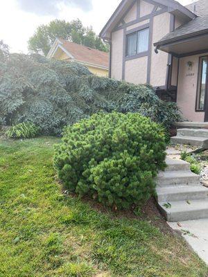 Crawford Roofing & Gutters