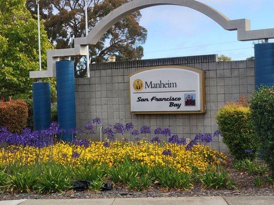 Manheim San Francisco Bay