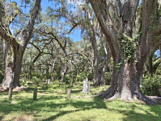Micanopy Historic Cemetery