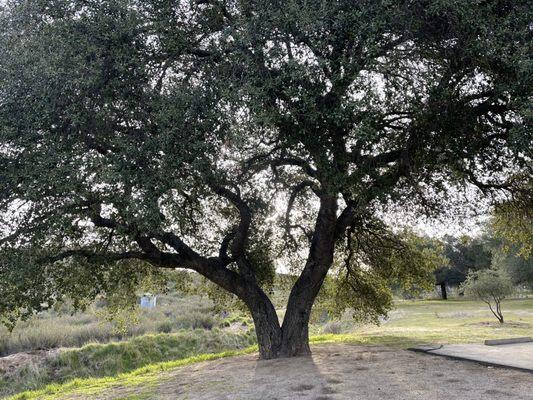Potrero County Park Campground