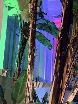 Stunning lighting at night.