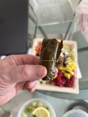 Stuffed Grape Leave