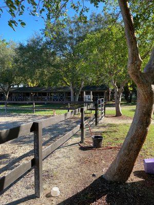 Miami International Riding Club