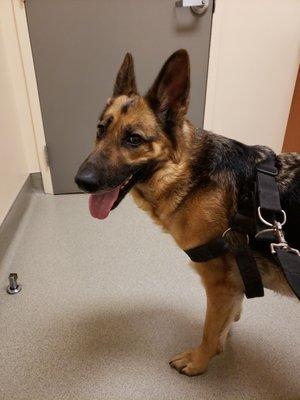 Washington Square Veterinary Clinic