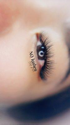 Nq Lashes