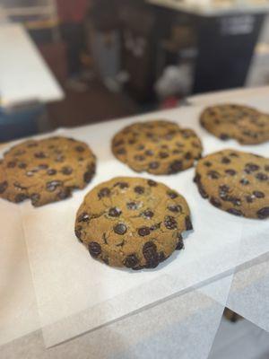 Gigantic Vegan Chocolate Chip Cookie for Glendale Glitters