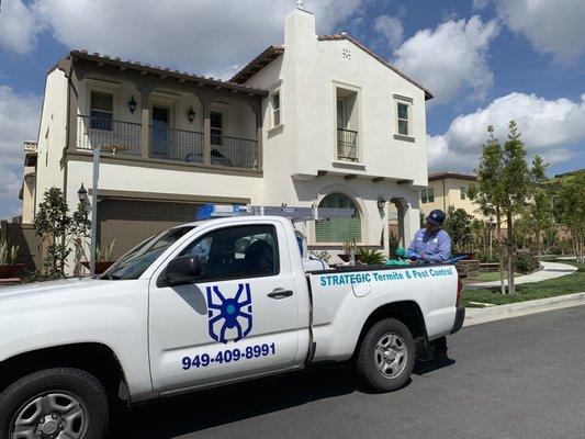 Strategic Termite & Pest Control