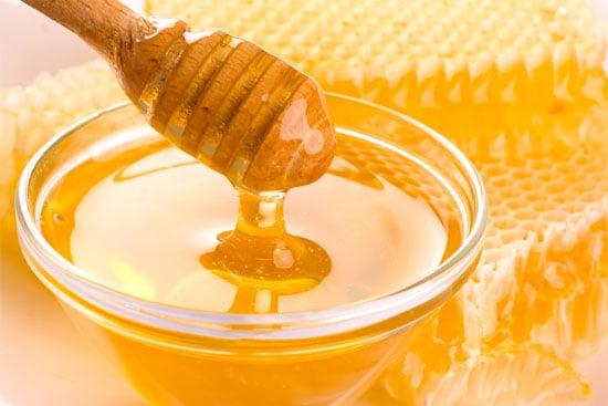 Honey Export