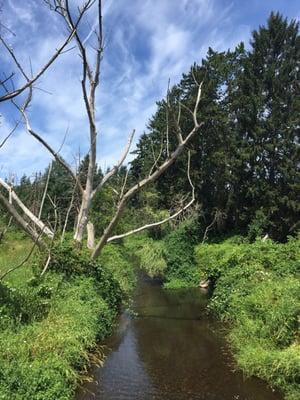 North creek