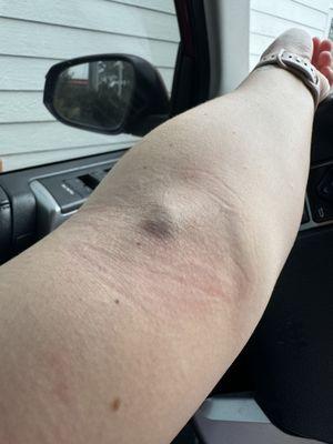 Palmetto Primary Care Physicians