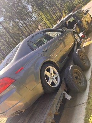 Shells cash for cars