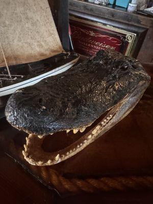 Shipwreck's Bar & Grill