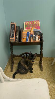 East Lake Cat Care Center