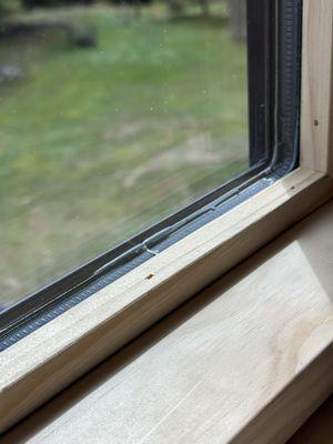 New Beginnings Window and Door