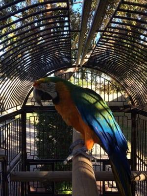 Glendale Powder Coating