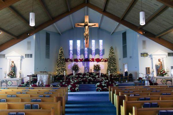 David M Bellen Photography & Video