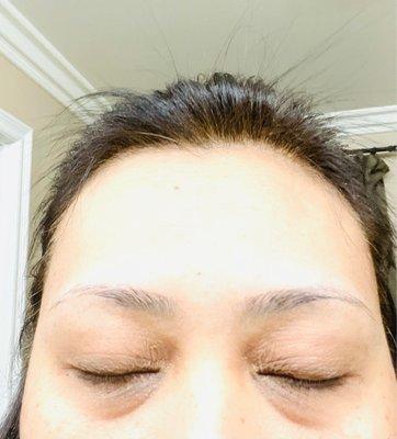 my eyebrows BEFORE microblading (12/18/2022)