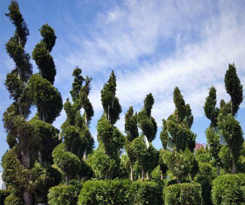 Leon’s Garden World