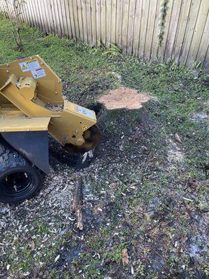 S and B Trees and Landscape