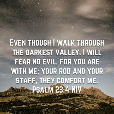 Bud'z Discreet Transportation