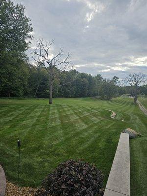 Allen's Lawn Maintenance