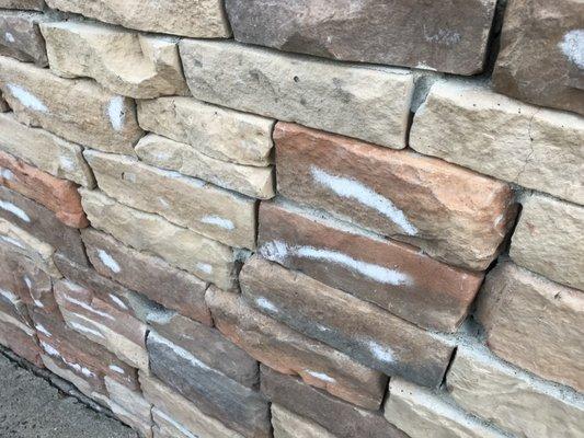 Paradise Pool Decks Masonry