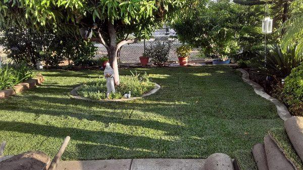 Elite Landscaping & Tree Service