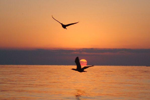 Lela Ashkarian - Coldwell Banker Schmitt Real Estate