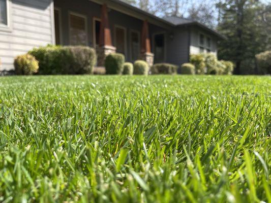 Mora’s landscape maintenance