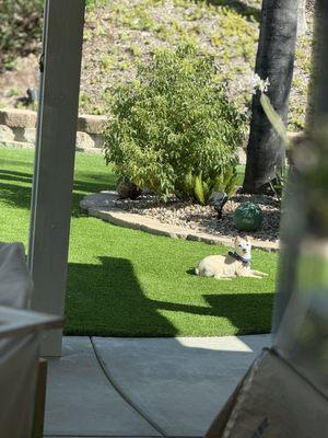 Oasis Community Homeowners