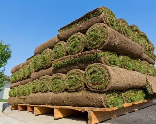 Becker Sod Farms, LLC