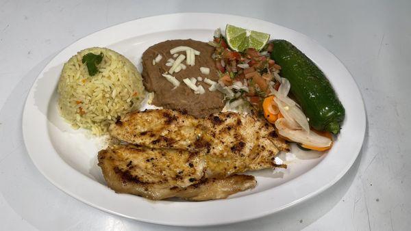 Tortas Gigantes Agaves