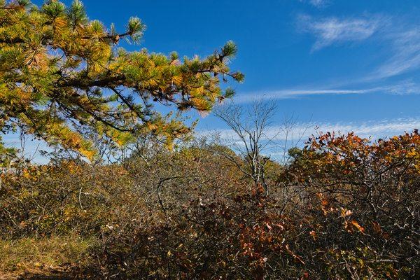 High Point State Park