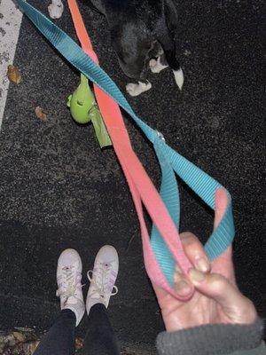 The teal leash is going to tighten as soon as we start walking. It needs to be fixed.