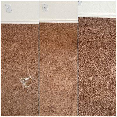 Carpet Repairs- patch and deep steam clean