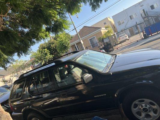 American Motor Trends